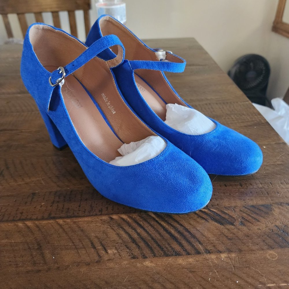 Royal Blue Suede/Velvet Dress shoes.